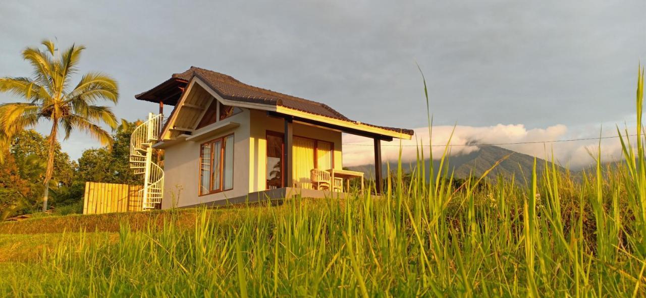 Kubu D'Ume Homestay Jatiluwih Exterior foto
