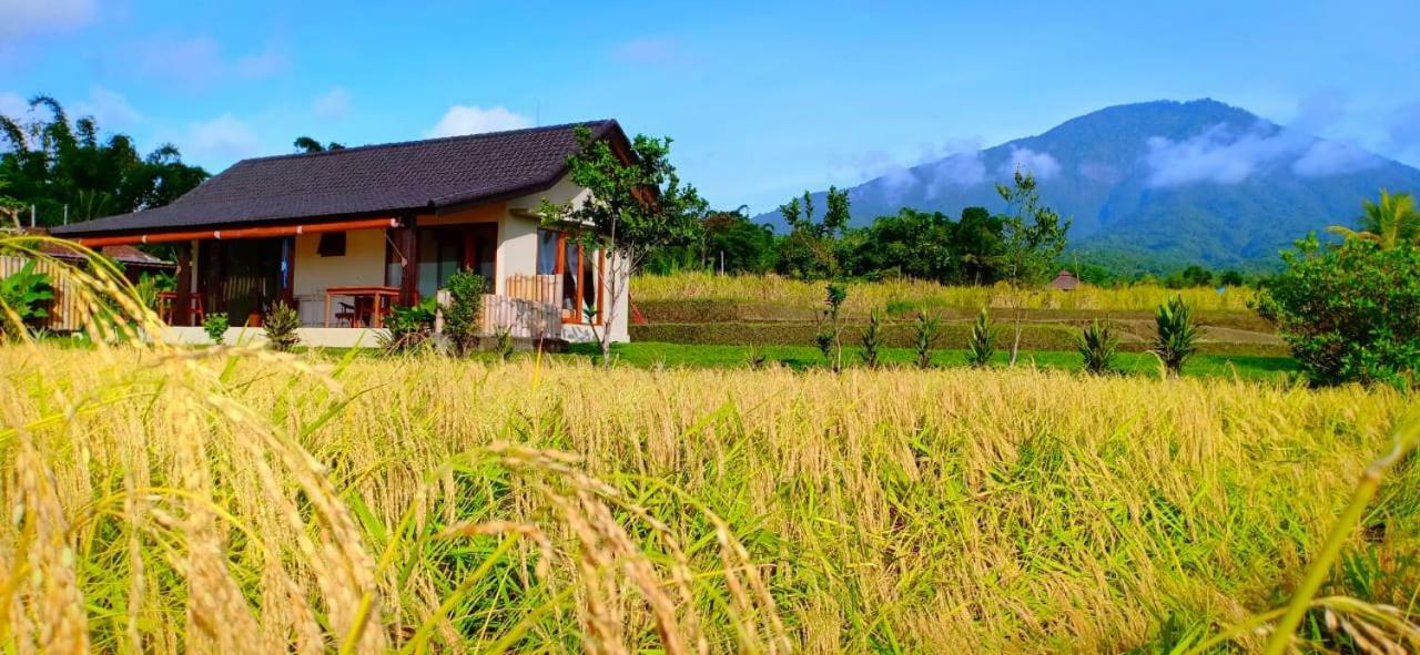 Kubu D'Ume Homestay Jatiluwih Exterior foto